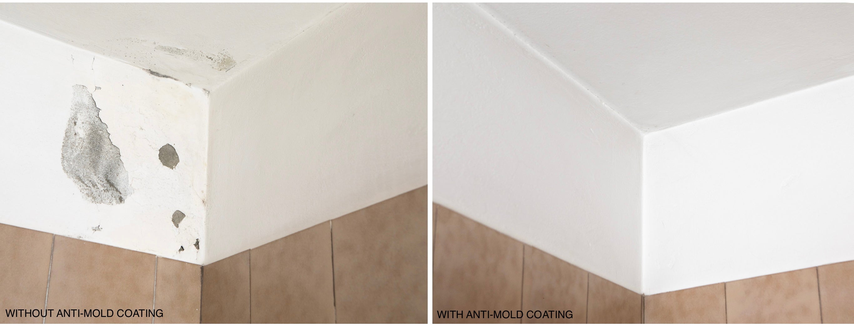 Anti-Mold Coatings